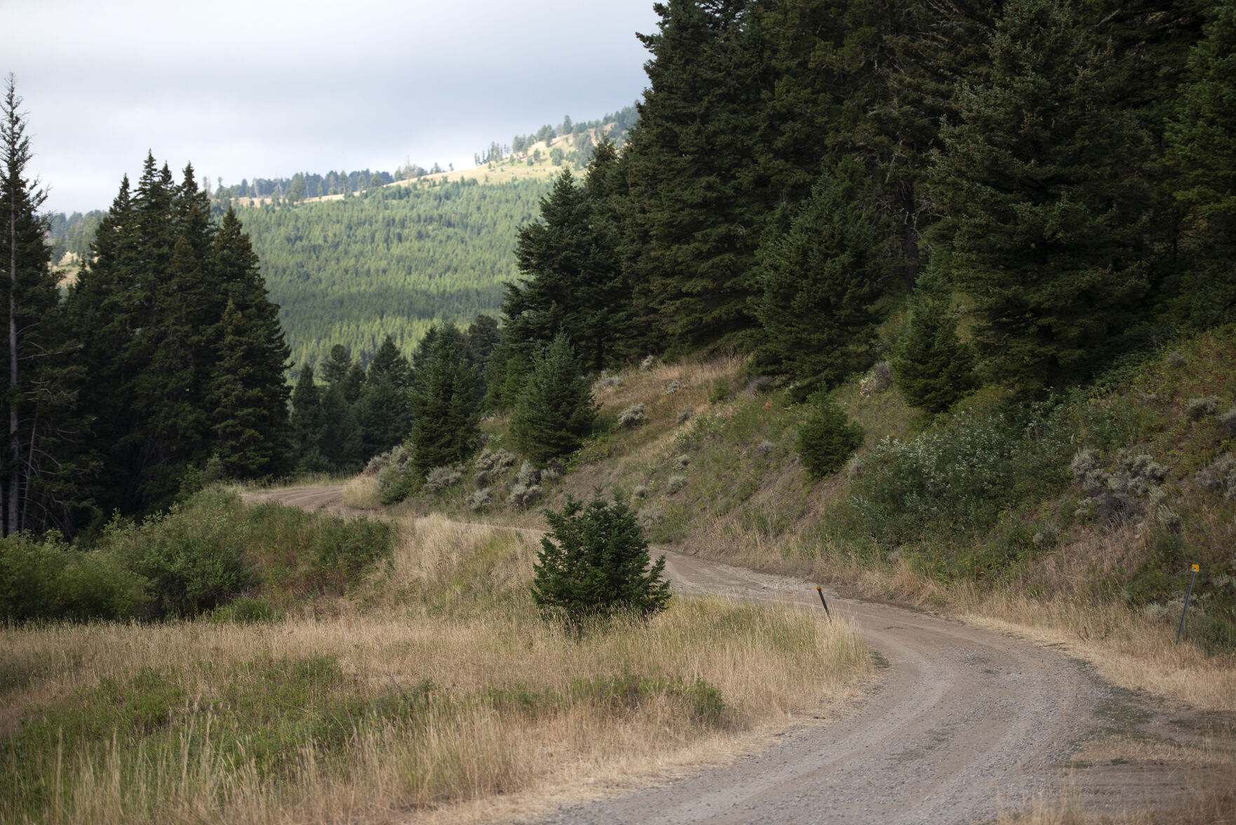 Jackson Creek Road